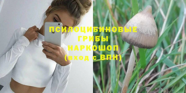 круглые Карталы