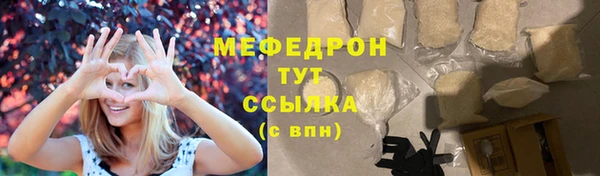 spice Инта