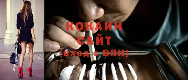 spice Инта