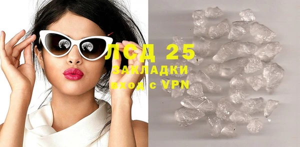 spice Инта