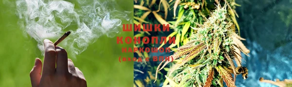 spice Инта