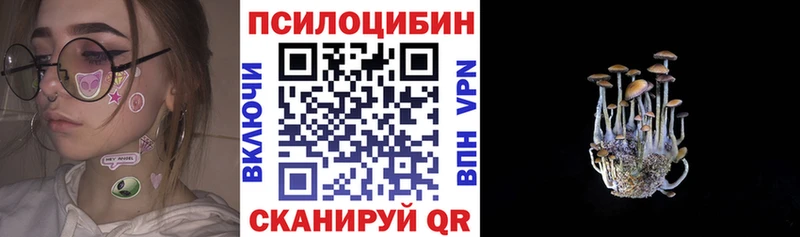 даркнет официальный сайт Кимовск Галлюциногенные грибы мухоморы